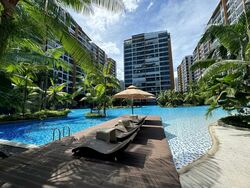 Coco Palms (D18), Condominium #504329031